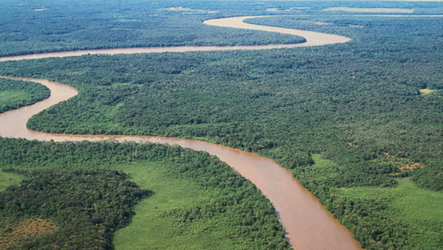 Forêt-Guyane