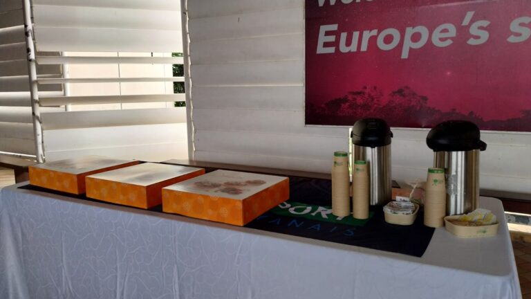 WhatsApp Image 2025-11-20 at 18.15.03